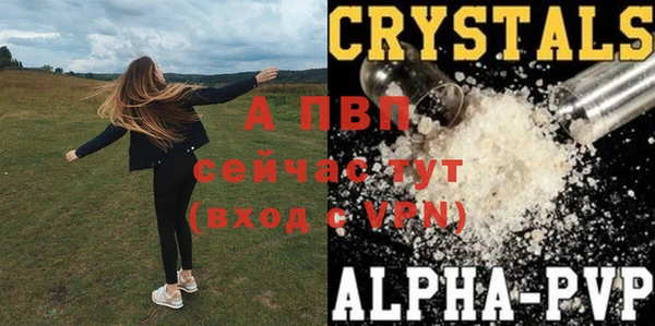 сатива Кукмор