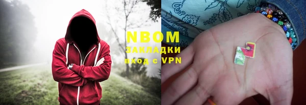 стафф Губаха