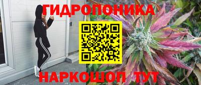 mix Кандалакша