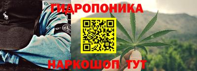 ПСИЛОЦИБИНОВЫЕ ГРИБЫ Камышлов