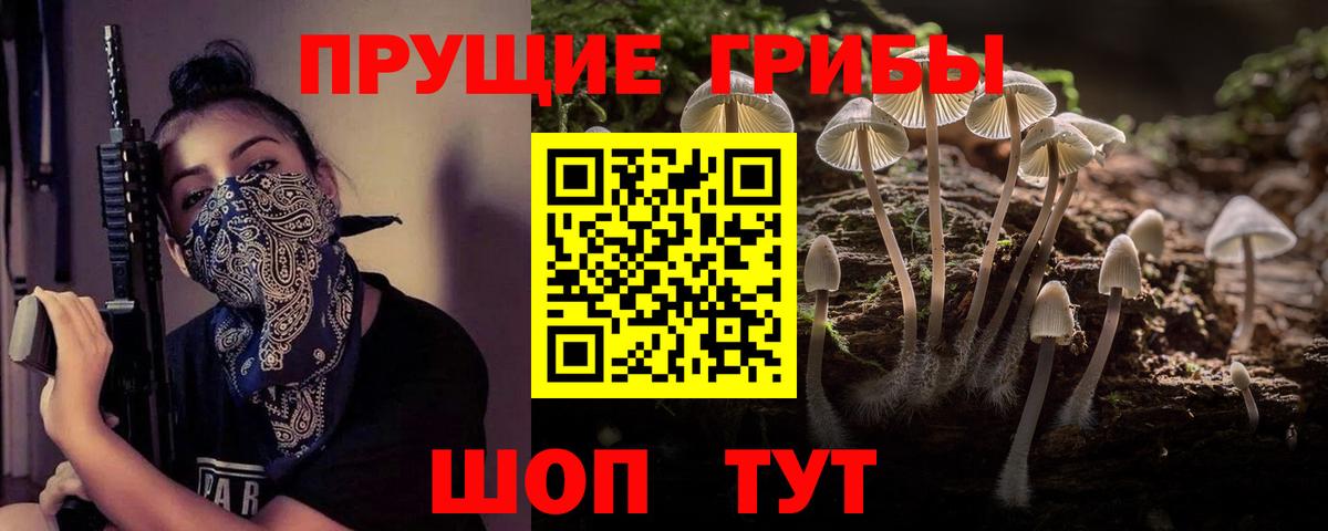 Донецк  Псилоцибиновые грибы GOLDEN TEACHER  Галлюциногенные грибы прущие грибы  Вход с VPN 